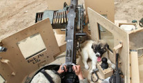 us army with lap dog