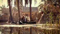 Marshes in Iraq