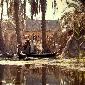 Marshes in Iraq
